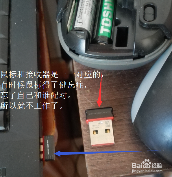 无线鼠标不能动了怎么办？