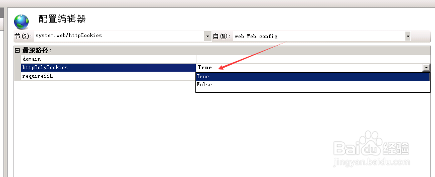 Cookie没有HttpOnly标志咋办？IIS设置HttpOnly