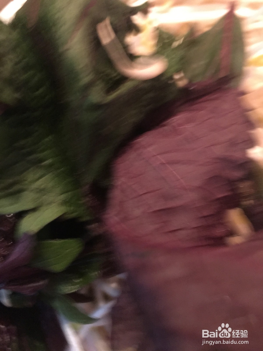 肉片炒豆芽的家庭做法