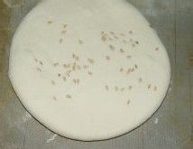 在家轻松炮制肉夹馍