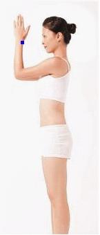 简单4招丰胸瑜伽，让上围暴涨的秘诀