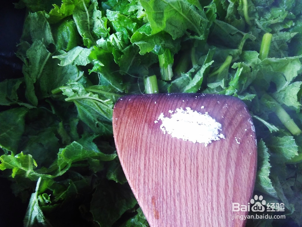 素炒南瓜苗的家常做法