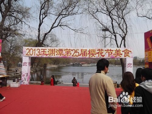 北京玉渊潭公园樱花节游记