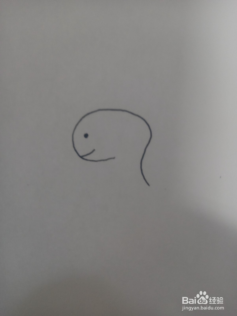 小乌龟简笔画教程