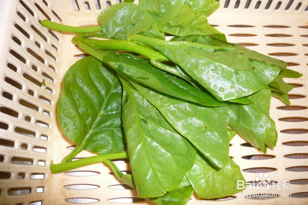 【夏日菜蔬】清炒木耳菜