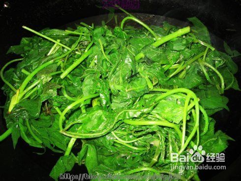 帮你赶走失眠的凉拌刺五加---附六款野菜的做法