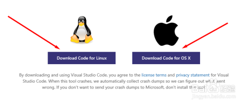 微软Visual Studio Code 如何下载