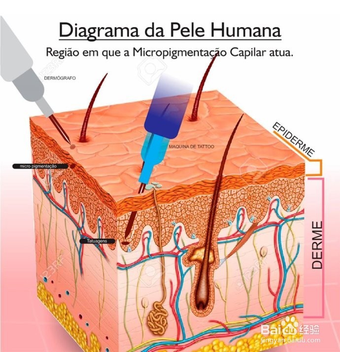 纹发 是如何解决脱发的？植发又怎么样呢？