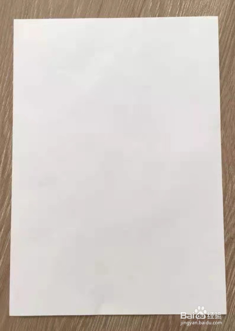如何画“世界动物日”的手抄报
