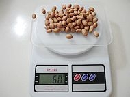 美的冬日厨房 桂圆肉花生排骨汤