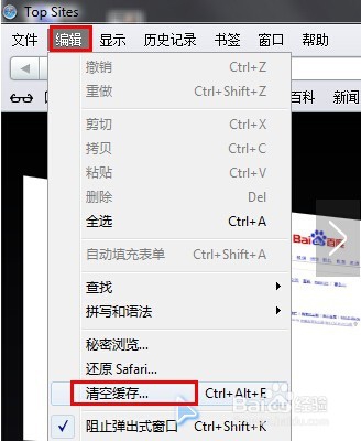 怎么清除电脑版的Safari浏览器的历史记录cookie