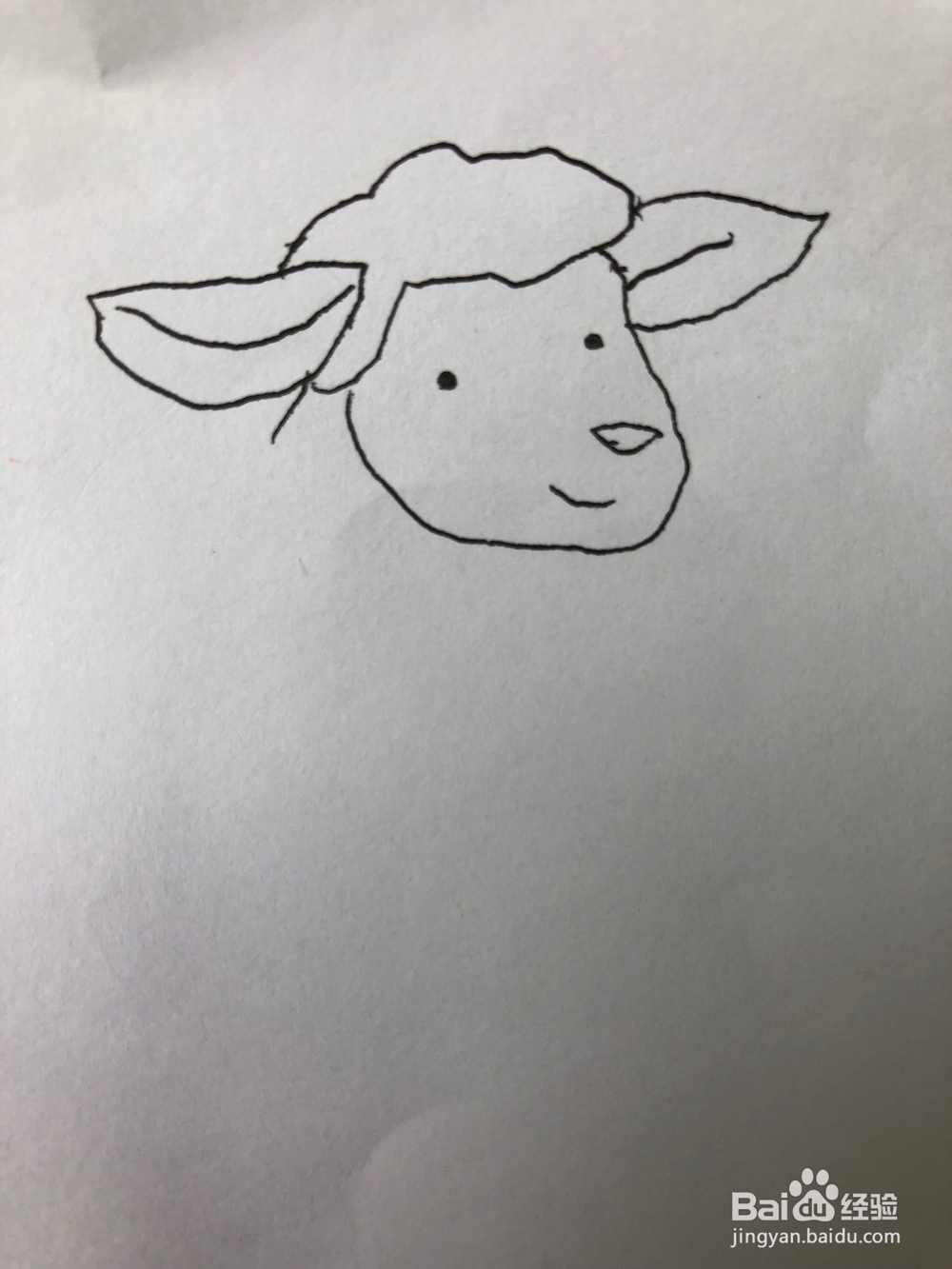 小羊的简笔画