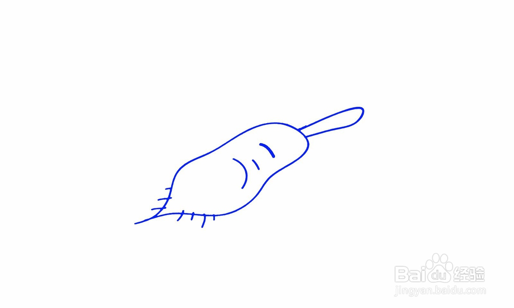 简笔画萝卜怎么画？