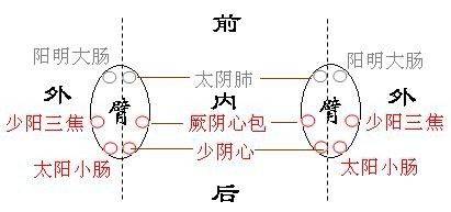 拨筋棒怎么使用