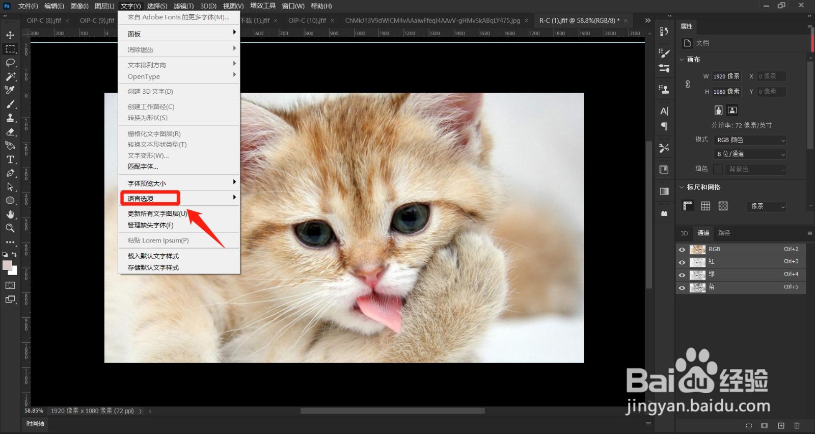 AdobePhotoshop2022如何恢复语言默认选项