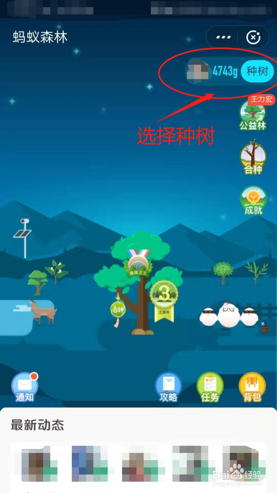 支付宝蚂蚁森林怎么种树呢？