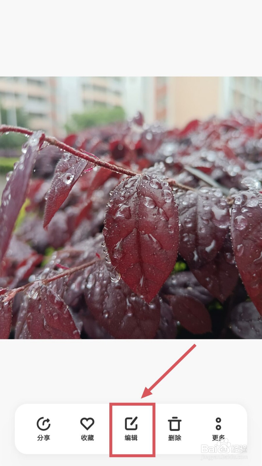 手机如何提高照片清晰度