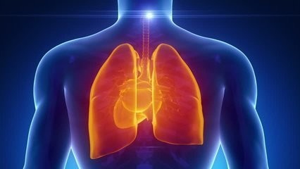 关注身体健康，五脏积毒症状你都知道吗？