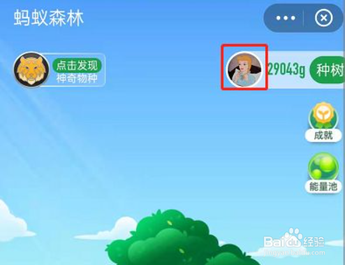 支付宝蚂蚁森林查看个人减排量方法