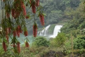 广西德天瀑布自助游攻略