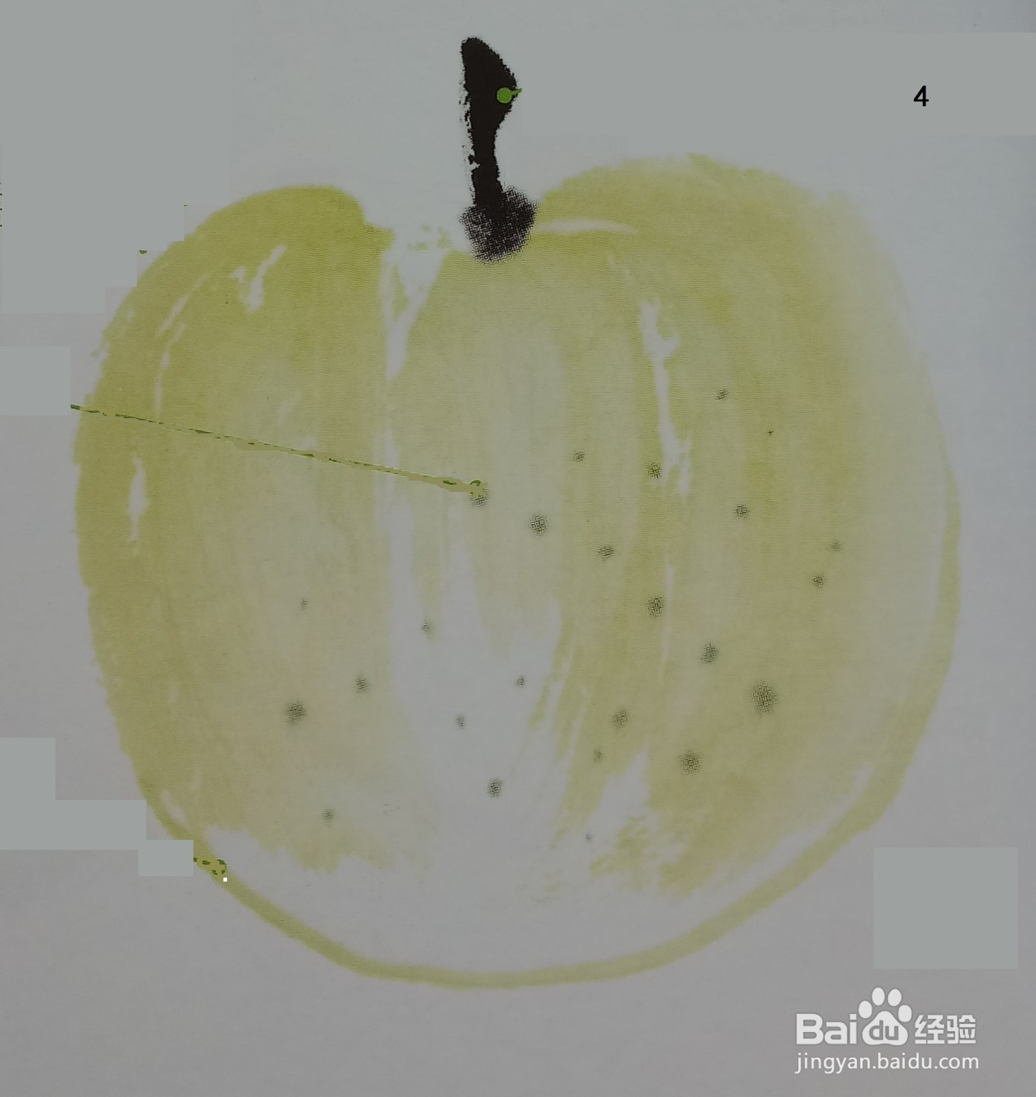 青苹果水墨画的画法