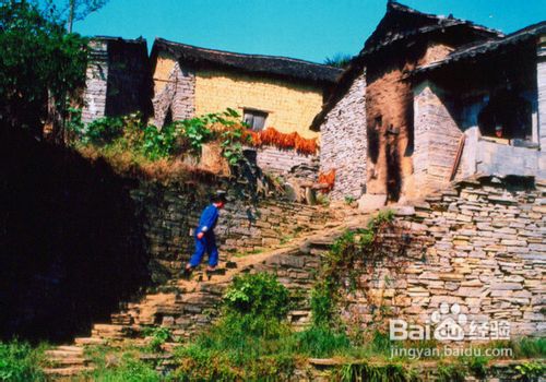 苏州到张家界旅游线路