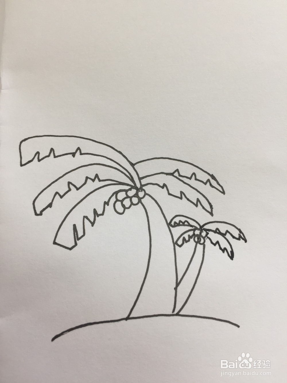 椰子树的简笔画