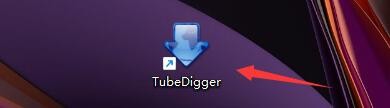 如何设置TubeDigger软件始终重新开始失败的下载