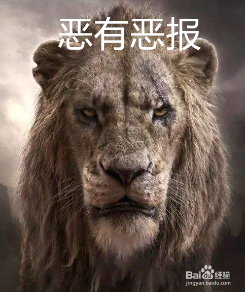 狮子王告诉我们怎样的人生道理