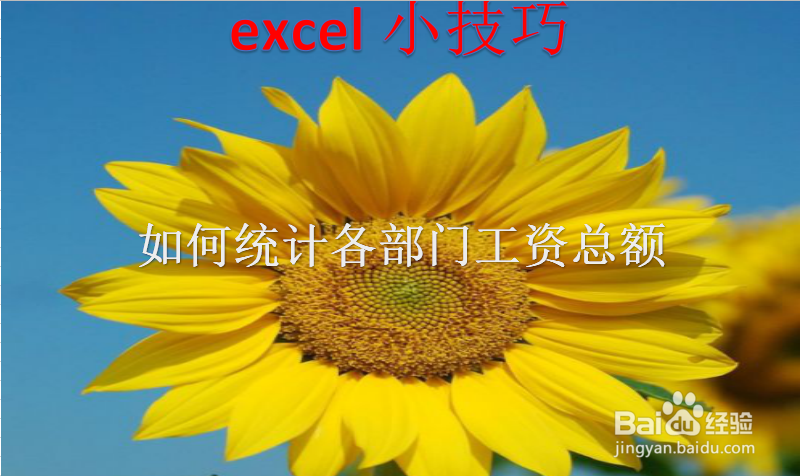 <b>Excel如何统计各部门工资总额</b>