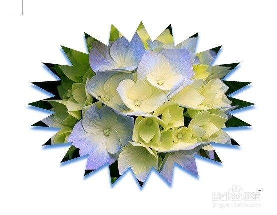 Word如何裁剪照片