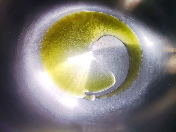 菊花脑蘑菇鸡蛋汤