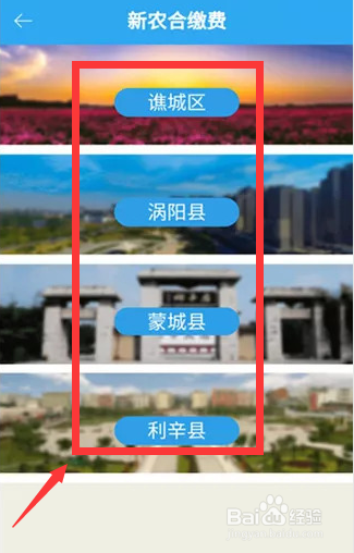 亳州新农合网上怎么缴费
