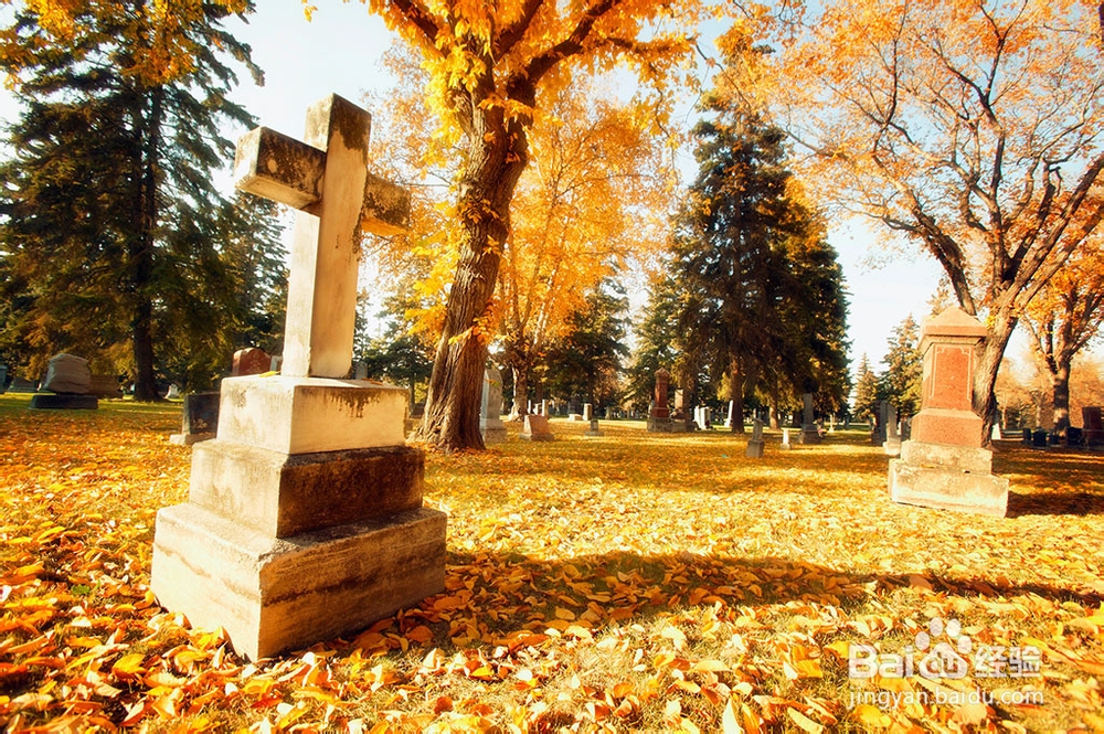 选购墓地如何衡量上海墓地价格的性价比高低