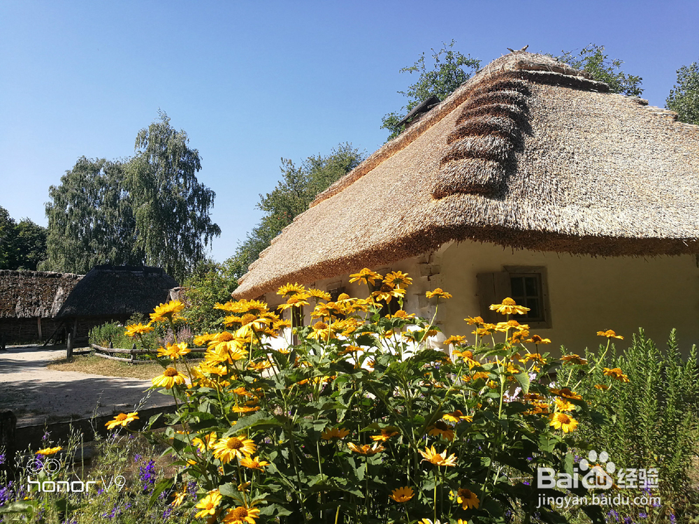 如何办理乌克兰落地签