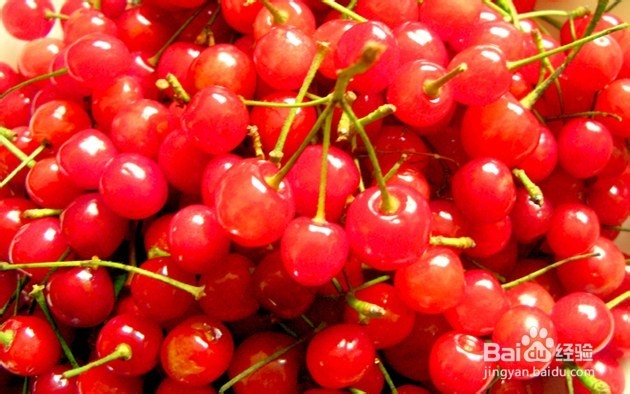 2013年青岛樱桃节旅游