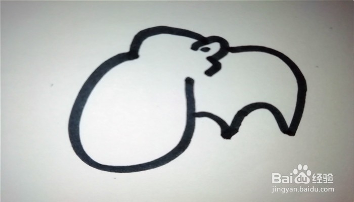 怎么样用简笔画画笨重的河马