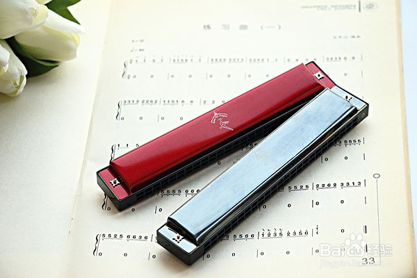 24孔口琴应该怎么吹单音