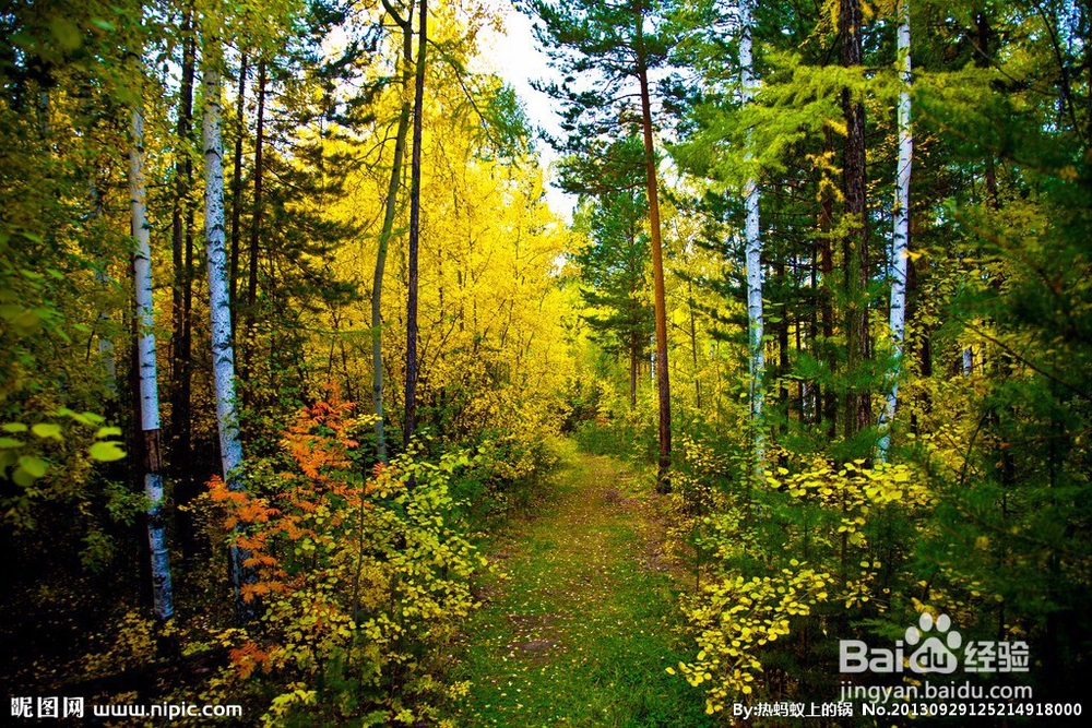 中學生每天吃多少蔬菜水果比較合適？