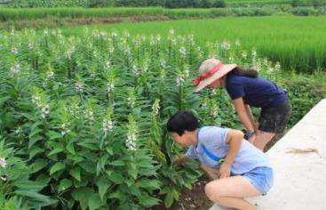 如何委婉拒绝别人的邀请