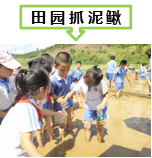 菜博士农场亲子活动方案