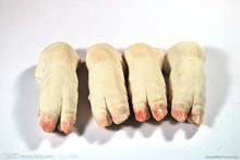 仙姐带你品尝美味佳肴之灵芝猪蹄汤