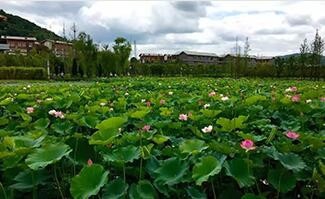 攻略路线：约三、五好友去山里江南