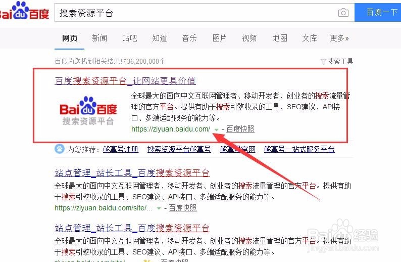 怎么申请熊掌号