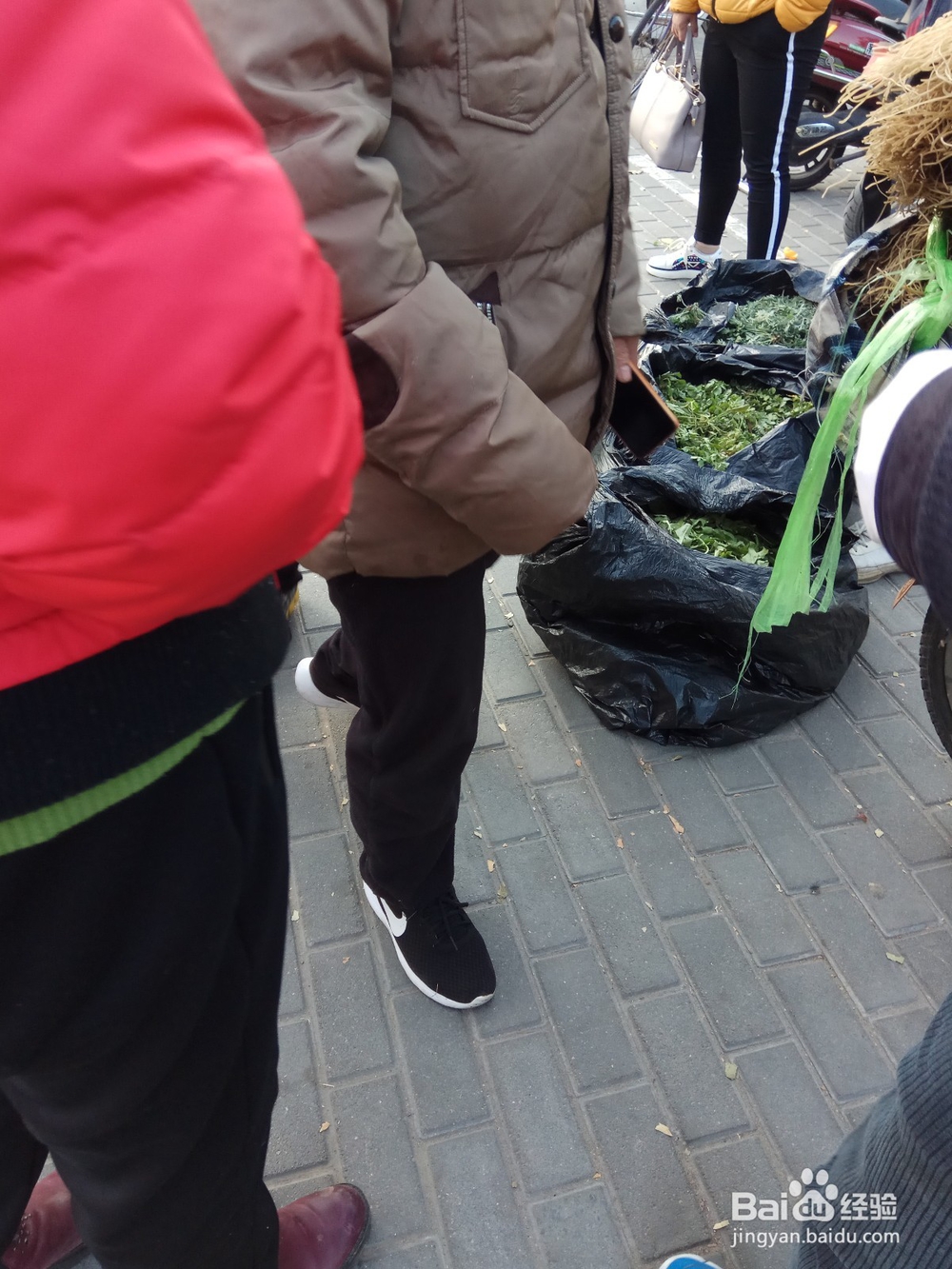 高脂血为什么会并发脂肪肝