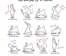 如何矫正你的姿态(体形)?