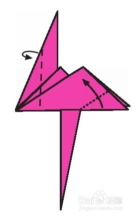 手工折纸——鸵鸟不会飞