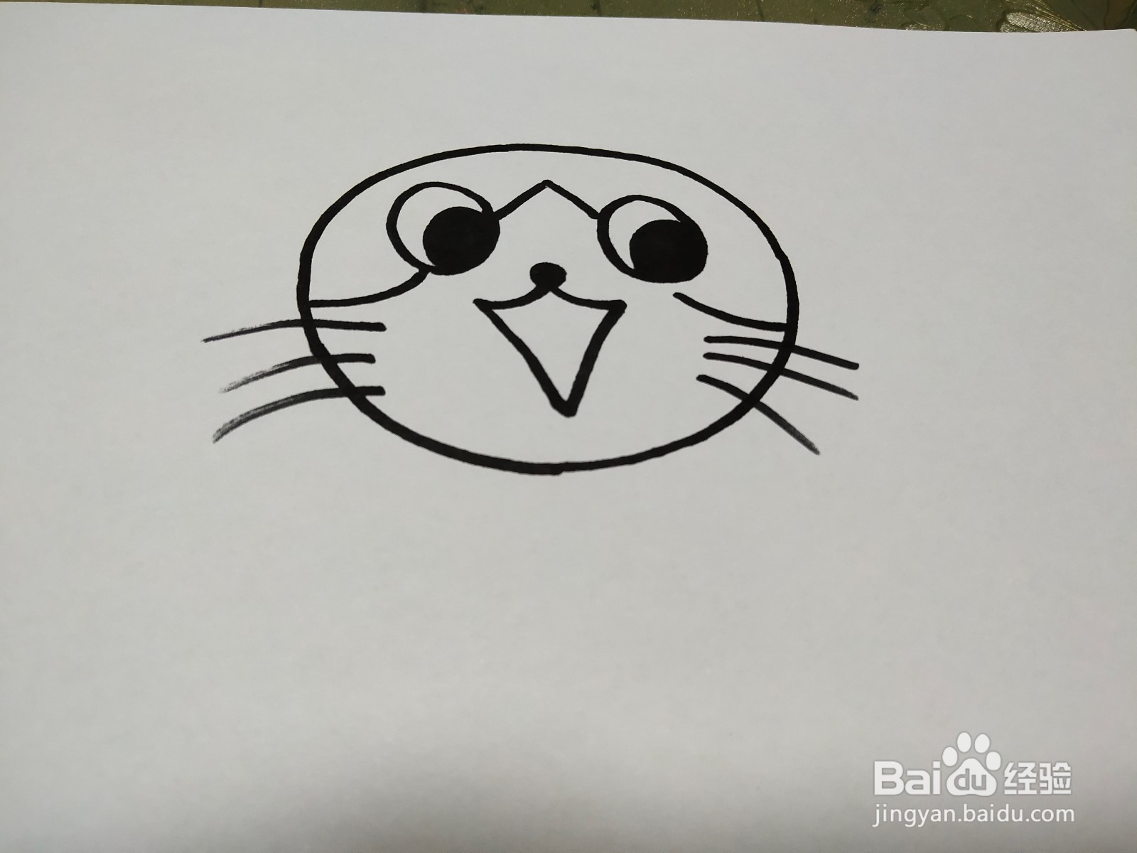 猫咪的简笔画