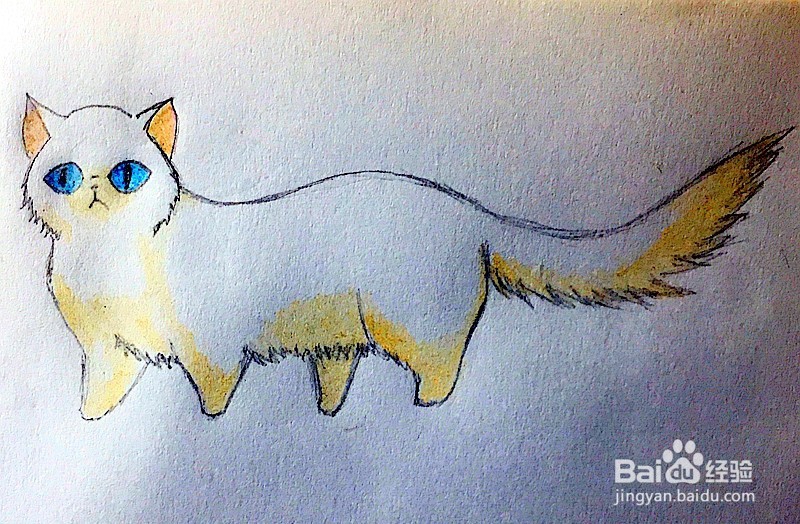 <b>蓝眼白猫的简笔画怎么画</b>