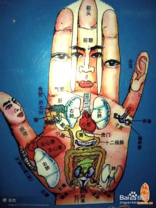 如何从掌纹判断健康,教你对在家健康了如指掌